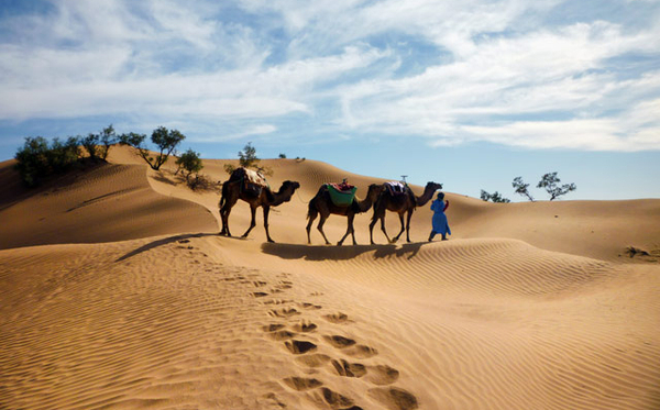 Fototour in die Wüste Marokkos